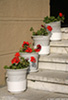 San_Seb_6714_web.jpg