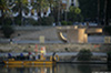 Seville_8027_web.jpg