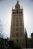 Seville_8277_web.jpg