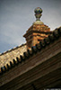 Seville_8340_web.jpg