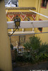 Seville_8393_web.jpg