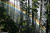 YNP_5702_web.jpg