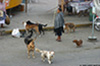 IMG_9724_web.jpg